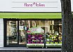 FLORA FOLIES - Insegne a LED